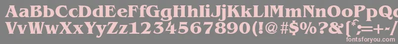 BenjaminserifBold Font – Pink Fonts on Gray Background
