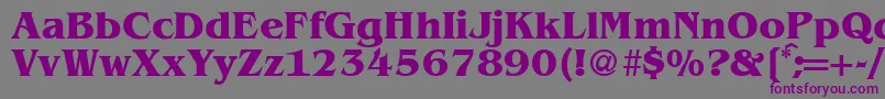 BenjaminserifBold Font – Purple Fonts on Gray Background