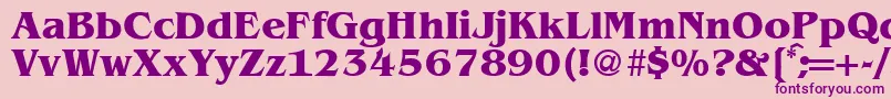 BenjaminserifBold Font – Purple Fonts on Pink Background