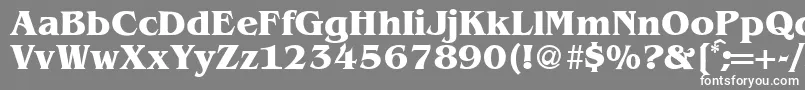 BenjaminserifBold-fontti – valkoiset fontit harmaalla taustalla