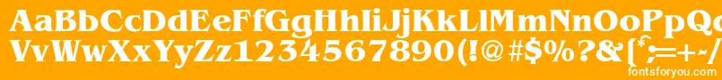 BenjaminserifBold Font – White Fonts on Orange Background