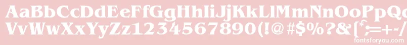 BenjaminserifBold Font – White Fonts on Pink Background