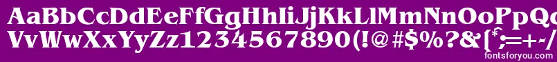 フォントBenjaminserifBold – 紫の背景に白い文字