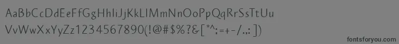 PlumeriaSansフォントについての詳細 フォントPlumeriaSans – 黒い文字の灰色の背景