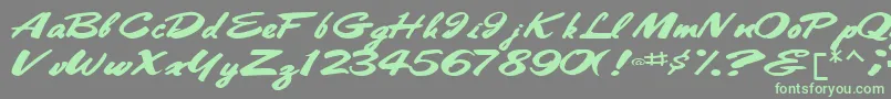 Bestshottext56RegularTtext Font – Green Fonts on Gray Background