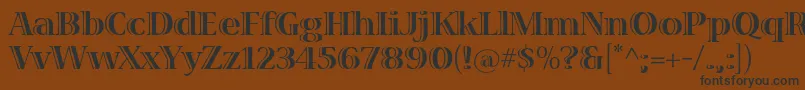 VivastdBold Font – Black Fonts on Brown Background