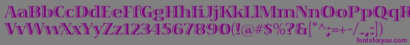 Weitere Informationen zur VivastdBold-Schriftart VivastdBold-Schriftart – Violette Schriften auf grauem Hintergrund