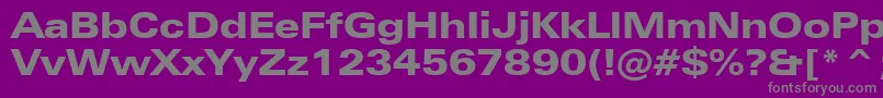 ZurichBlackExtendedBt Font – Gray Fonts on Purple Background