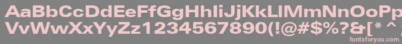 ZurichBlackExtendedBt Font – Pink Fonts on Gray Background