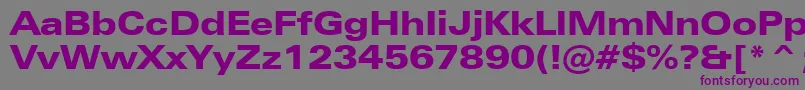 ZurichBlackExtendedBt Font – Purple Fonts on Gray Background
