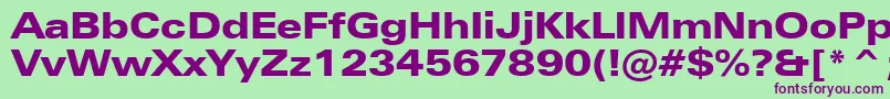 ZurichBlackExtendedBt Font – Purple Fonts on Green Background