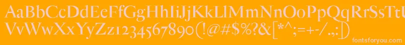 AntiqueModerne-Schriftart – Rosa Schriften auf orangefarbenem Hintergrund