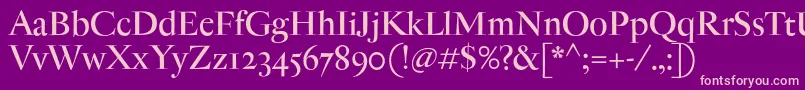 AntiqueModerne Font – Pink Fonts on Purple Background