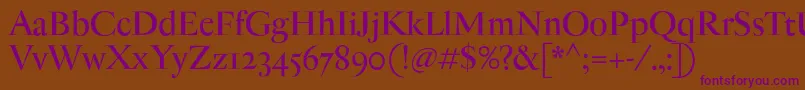 AntiqueModerne Font – Purple Fonts on Brown Background