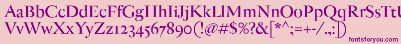 AntiqueModerne Font – Purple Fonts on Pink Background