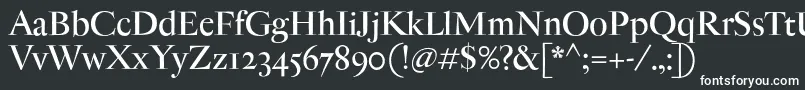 AntiqueModerne Font – White Fonts