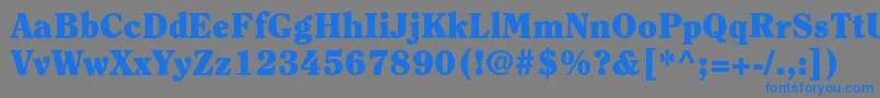 フォントItcClearfaceLtBlack – 灰色の背景に青い文字