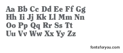 ItcClearfaceLtBlack Font