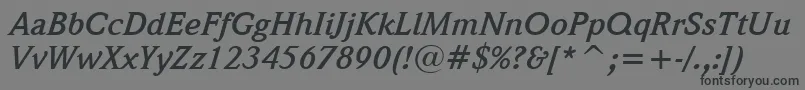 WeidemannBoldItalicBt Font – Black Fonts on Gray Background