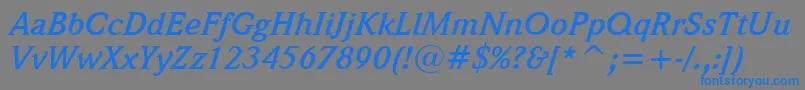 WeidemannBoldItalicBt Font – Blue Fonts on Gray Background