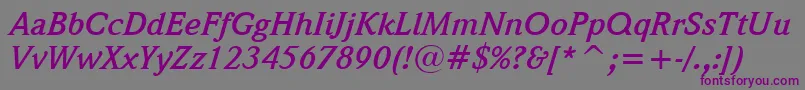 WeidemannBoldItalicBt Font – Purple Fonts on Gray Background