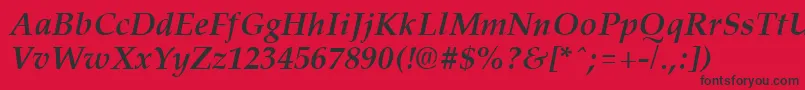 PalisadeBoldItalic Font – Black Fonts on Red Background