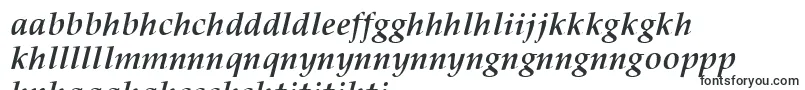 PalisadeBoldItalic Font – Sotho Fonts