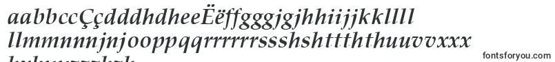 PalisadeBoldItalic Font – Albanian Fonts