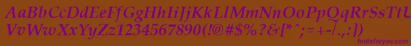 PalisadeBoldItalic Font – Purple Fonts on Brown Background