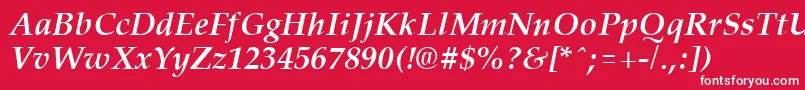 フォントPalisadeBoldItalic – 赤い背景に白い文字