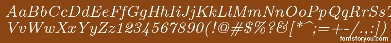 フォントLmroman8Italic – 茶色の背景に白い文字