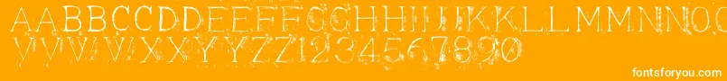 Appendix3-Schriftart – Weiße Schriften auf orangefarbenem Hintergrund