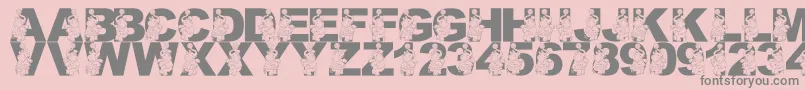 Police LmsPreformingPachyderm – polices grises sur fond rose