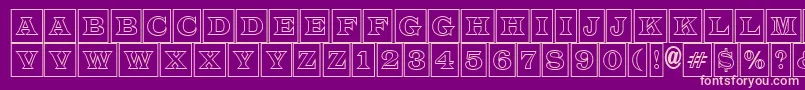 LatinotitulcmotlRegular Font – Pink Fonts on Purple Background