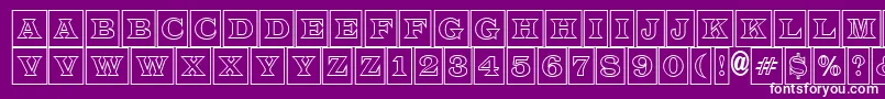 LatinotitulcmotlRegular Font – White Fonts on Purple Background