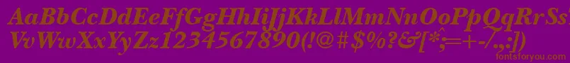 Шрифт BaskervillenovatwoblackRegularitalic – коричневые шрифты на фиолетовом фоне