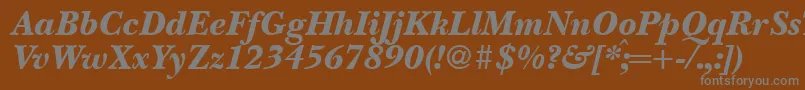 フォントBaskervillenovatwoblackRegularitalic – 茶色の背景に灰色の文字
