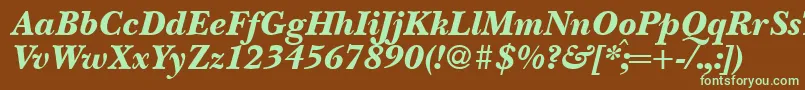 Czcionka BaskervillenovatwoblackRegularitalic – zielone czcionki na brązowym tle