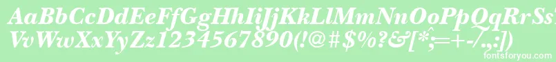 BaskervillenovatwoblackRegularitalic Font – White Fonts on Green Background