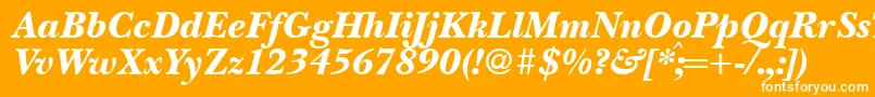 BaskervillenovatwoblackRegularitalic Font – White Fonts on Orange Background