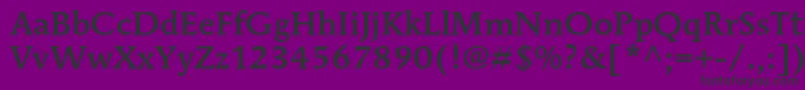 フォントMendozaromanstdMedium – 紫の背景に黒い文字