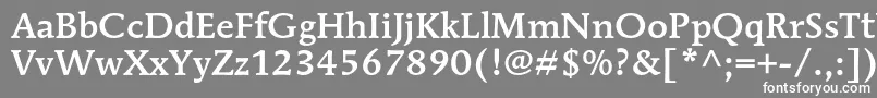 MendozaromanstdMedium Font – White Fonts on Gray Background