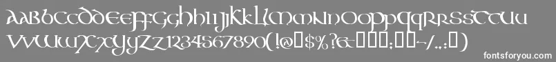 Aoncc Font – White Fonts on Gray Background