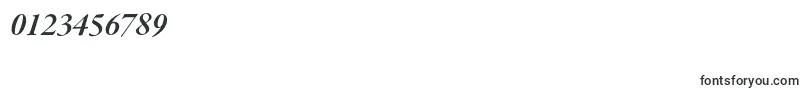 GaramondpremrproSmbditsubh Font – Fonts for Numbers and Digits