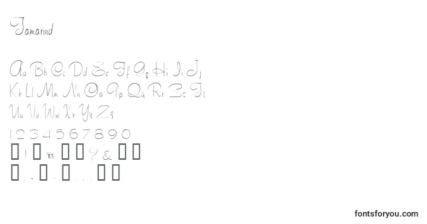 A fonte Tamarind – alfabeto, números, caracteres especiais