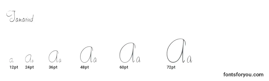 Tamarind Font Sizes
