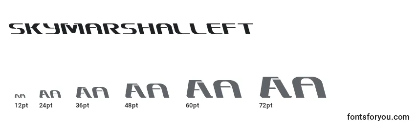 Размеры шрифта Skymarshalleft