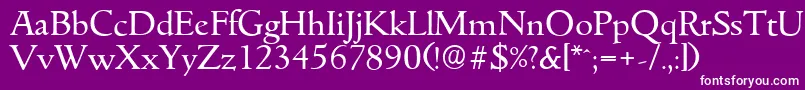 GouditaserialRegular Font – White Fonts on Purple Background