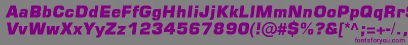 Square721BlkItalic Font – Purple Fonts on Gray Background