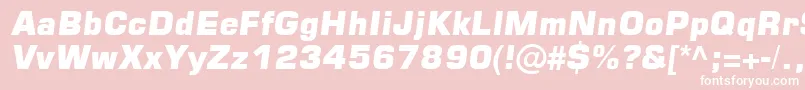 Square721BlkItalic Font – White Fonts on Pink Background